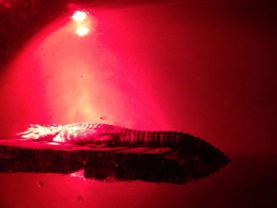 Natchitoches National Fish Hatchery and Aquarium